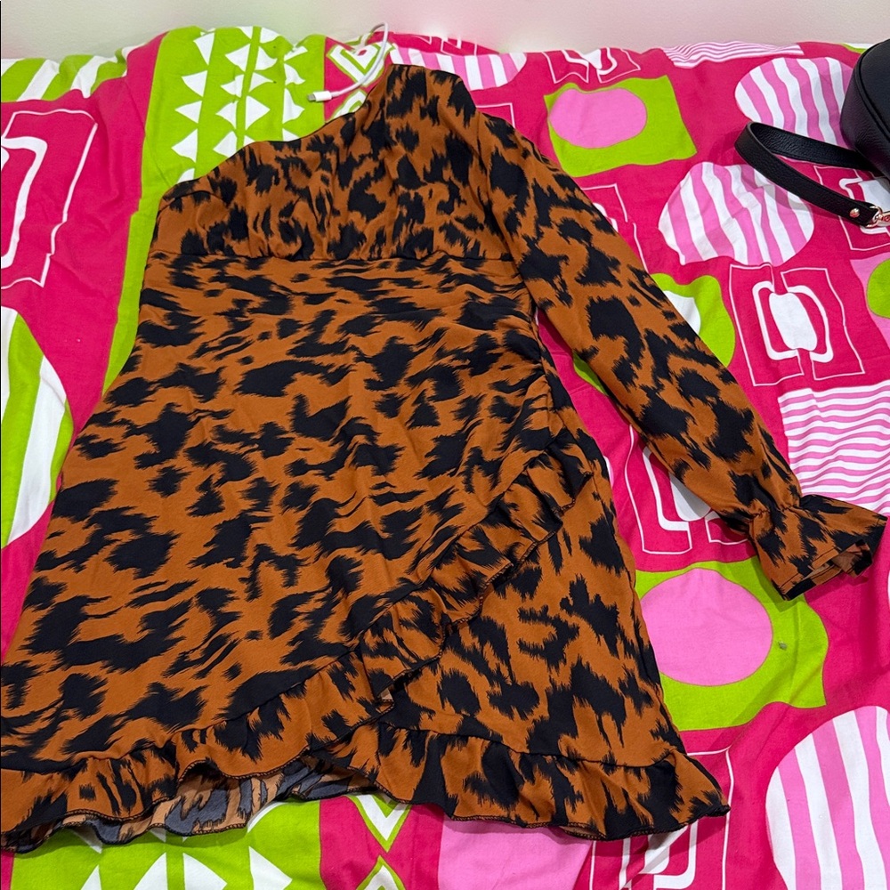 Leopard Print Long Sleeve Dress